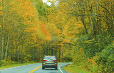 rideshare lawyer - uber driving on road with fall foliage