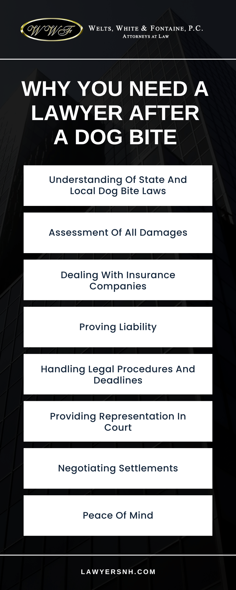 Why You Need A Lawyer After A Dog Bite infographic