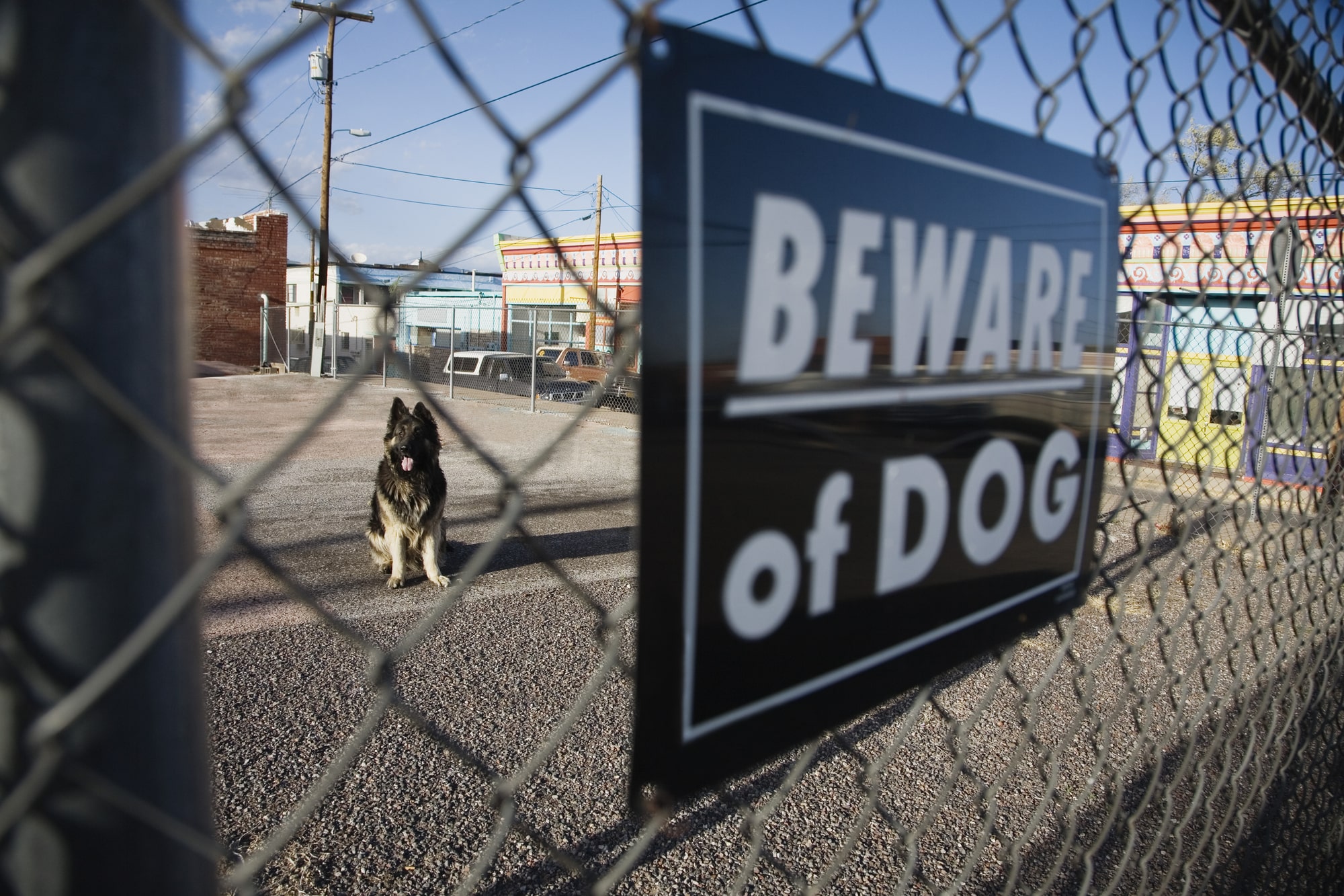 dog bite injury lawyer Hudson, NH