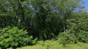 Merrimack River Greenway Rail Trail Southern New Hampshire